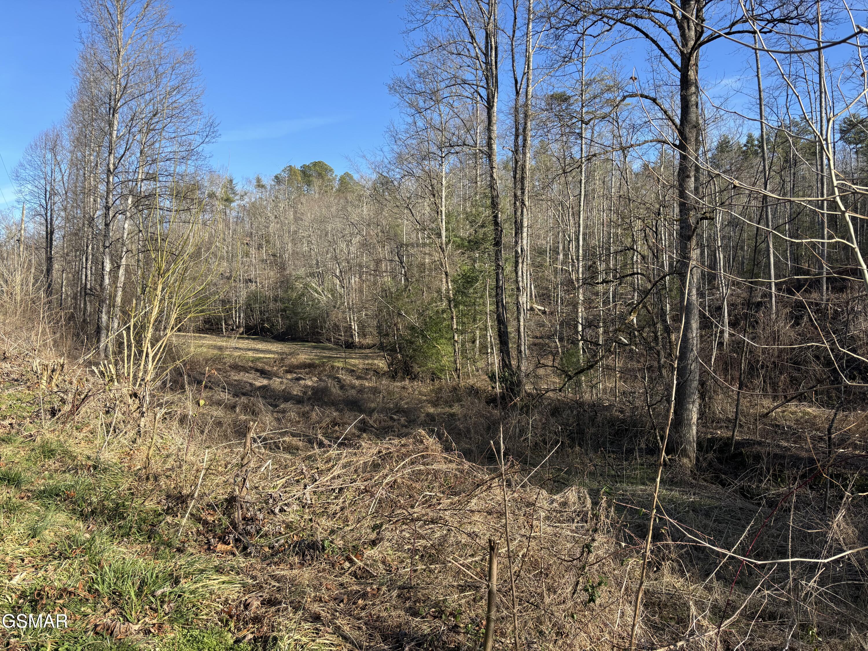 Tract 2 Bull Mountain Road Del Rio TN 37727