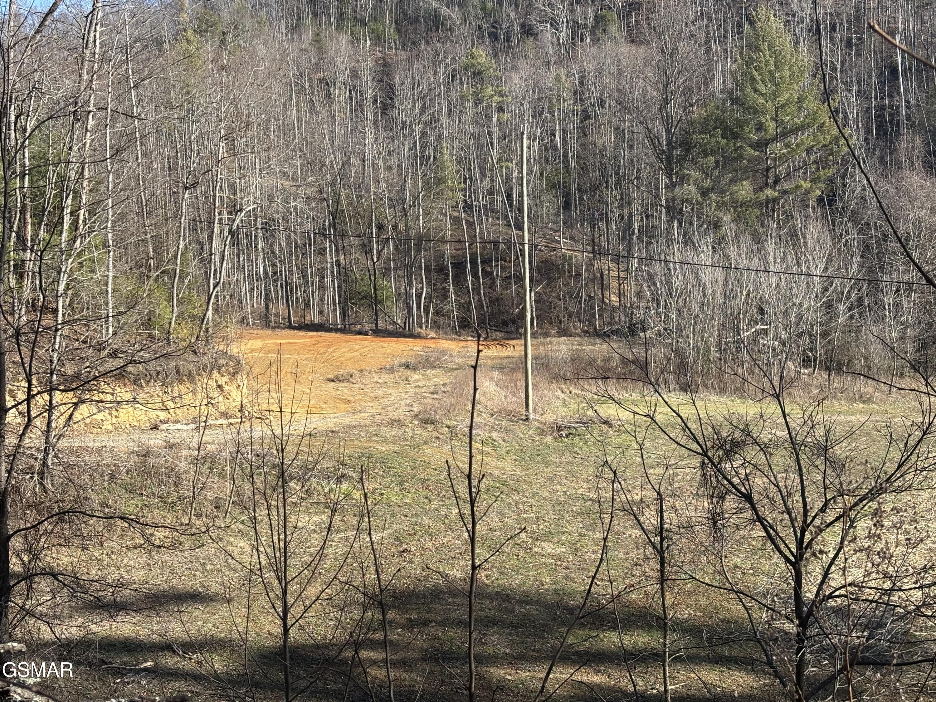 Tract 2 Bull Mountain Road Del Rio TN 37727