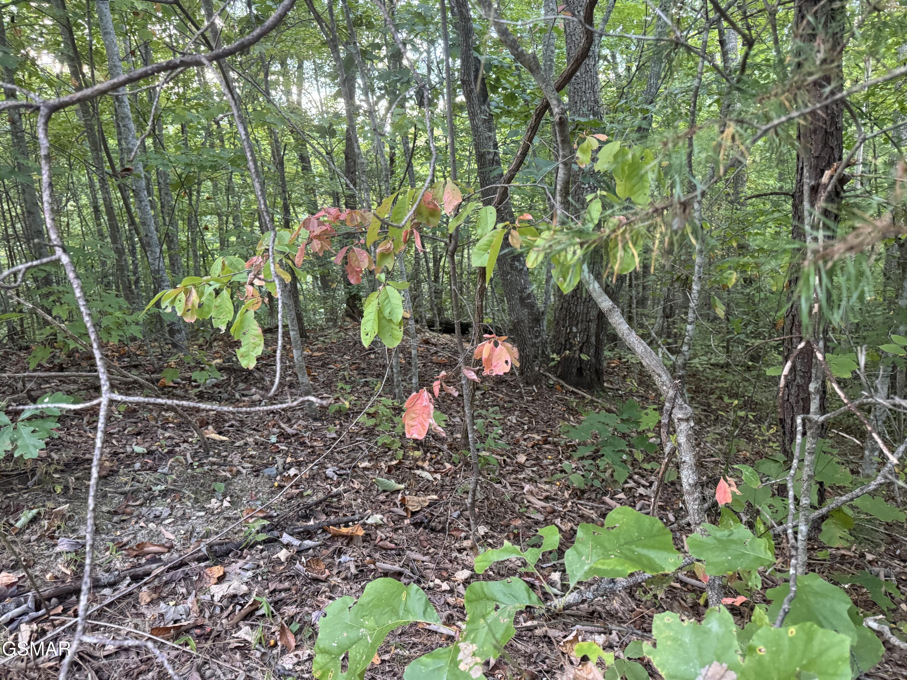 Lot 27 Pinnacle Vista Road Pittman Center TN 37738