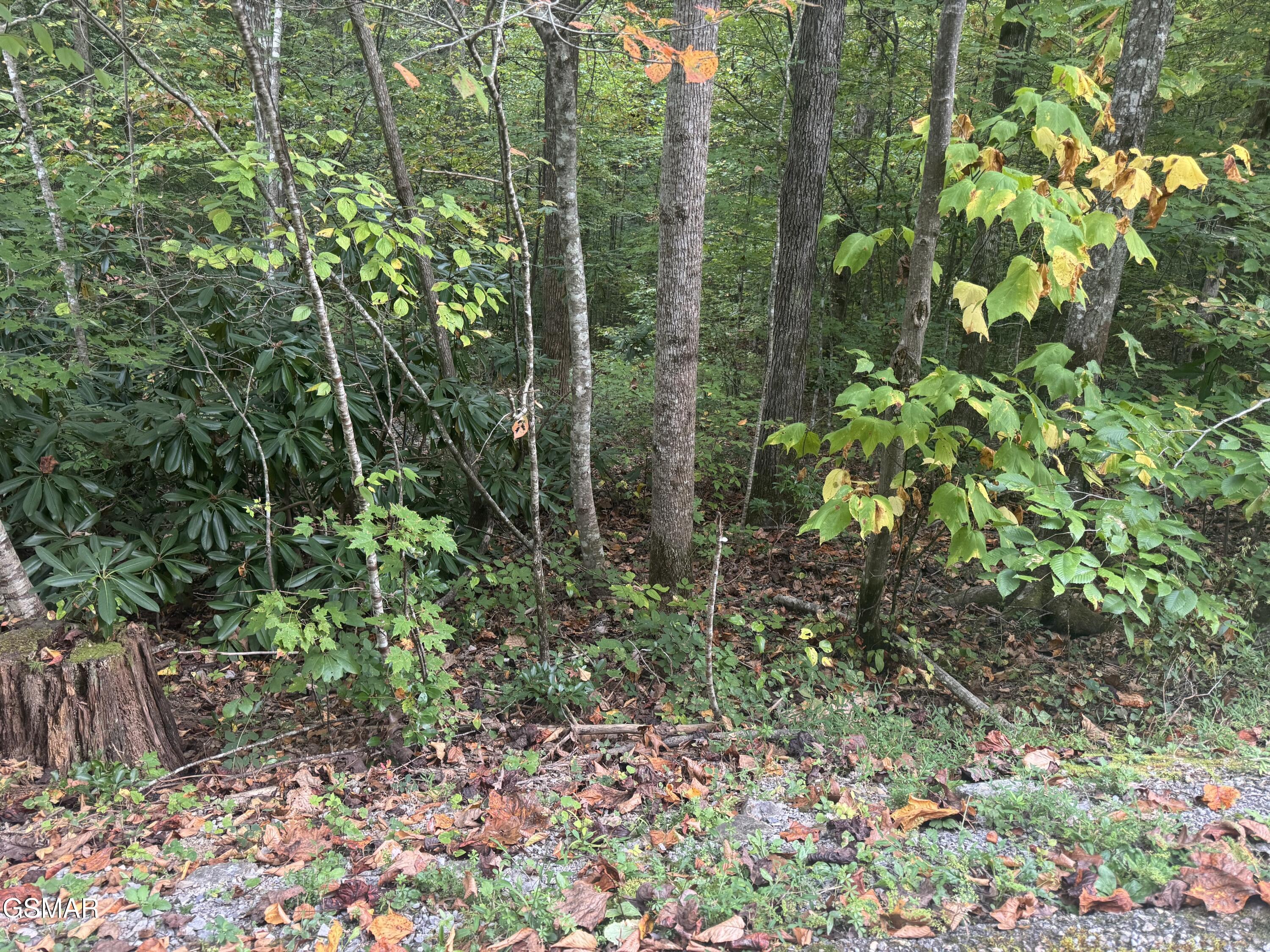 Lot 27 Pinnacle Vista Road Pittman Center TN 37738