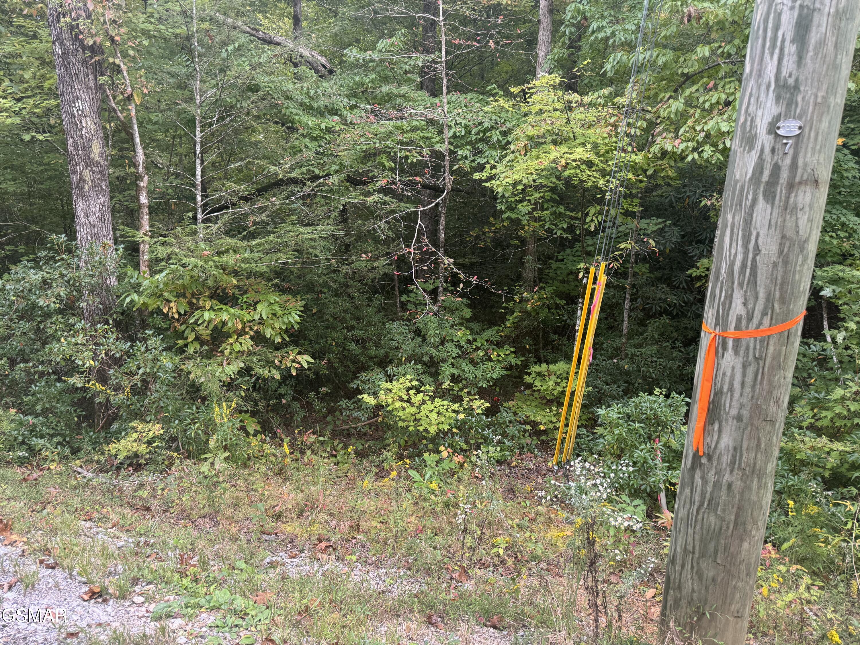 Lot 27 Pinnacle Vista Road Pittman Center TN 37738