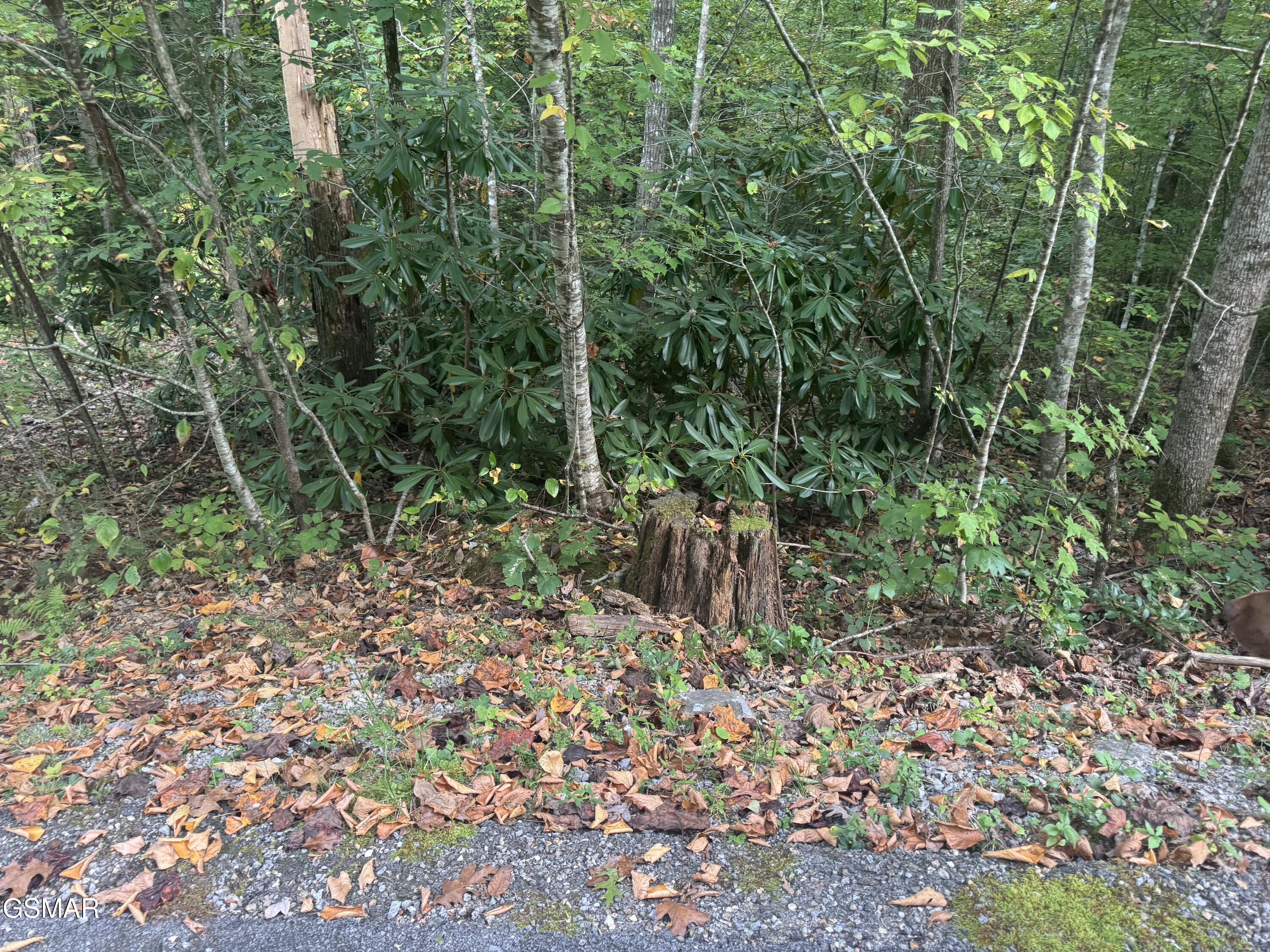 Lot 27 Pinnacle Vista Road Pittman Center TN 37738