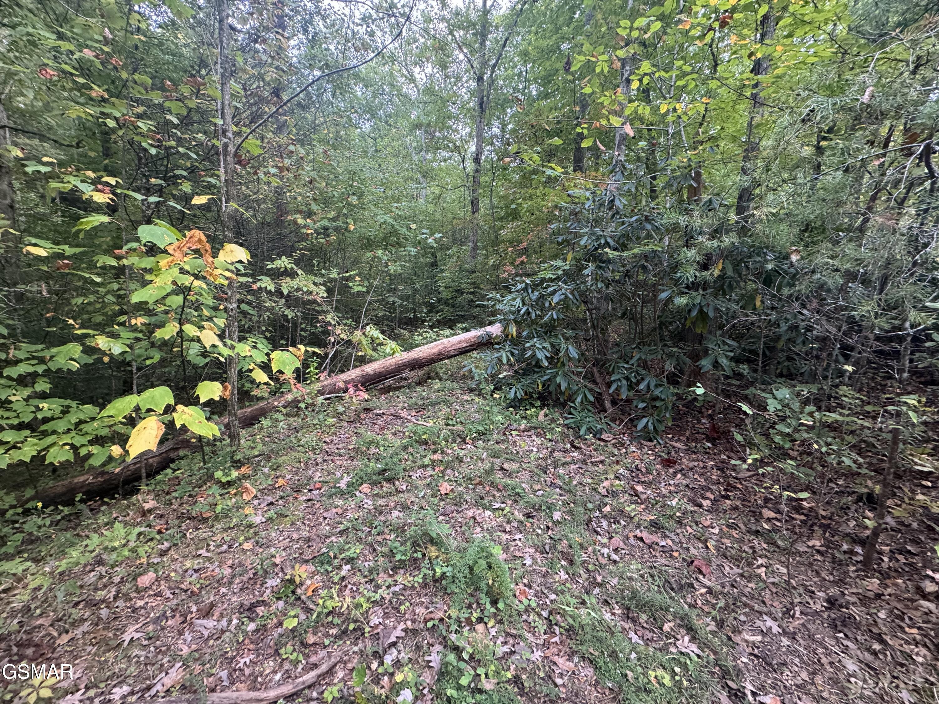 Lot 27 Pinnacle Vista Road Pittman Center TN 37738