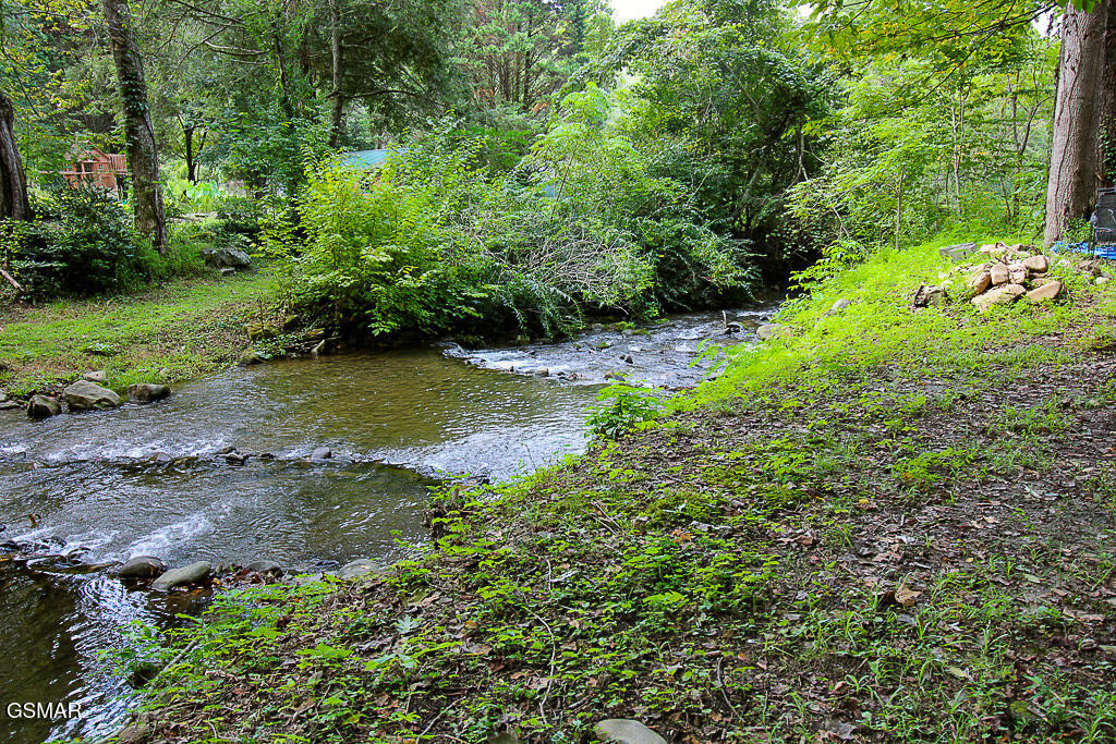 134 Wildwood Way Gatlinburg TN 37738