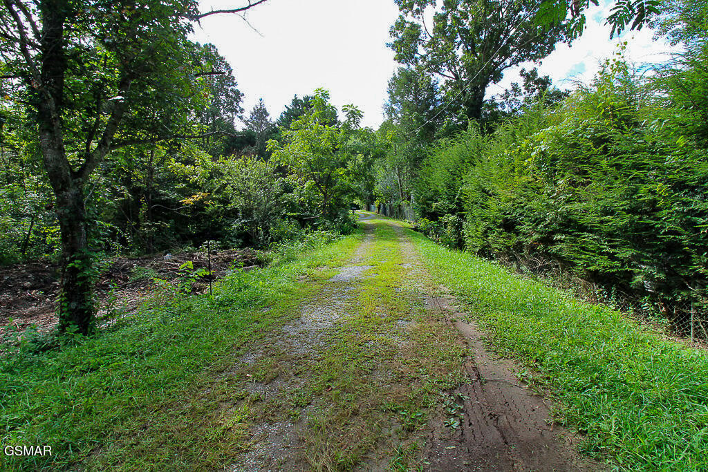 134 Wildwood Way Gatlinburg TN 37738