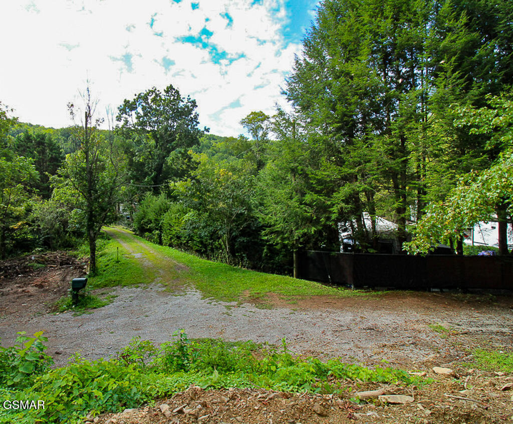 134 Wildwood Way Gatlinburg TN 37738