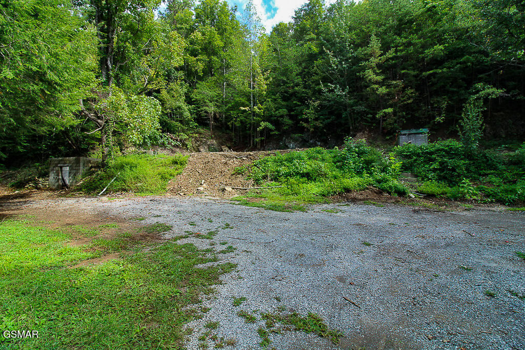 134 Wildwood Way Gatlinburg TN 37738