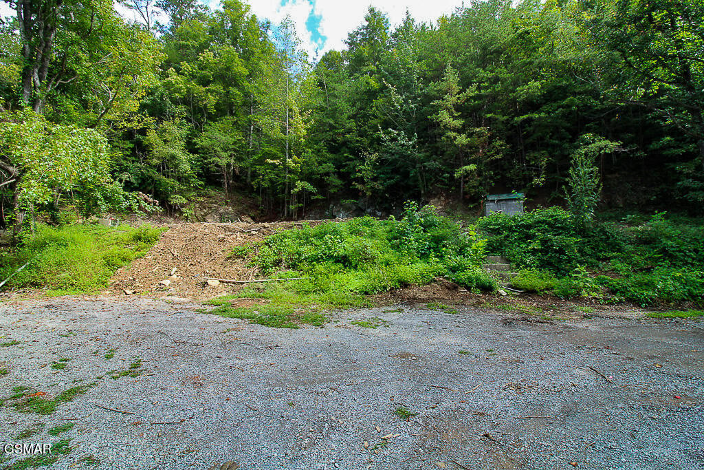 134 Wildwood Way Gatlinburg TN 37738
