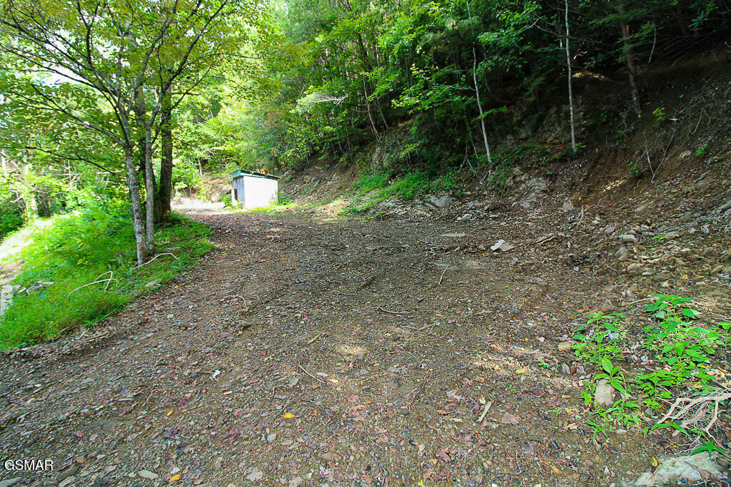134 Wildwood Way Gatlinburg TN 37738