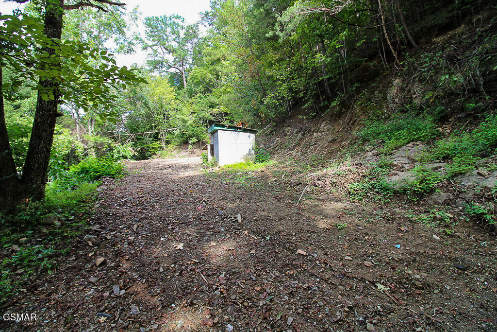 134 Wildwood Way Gatlinburg TN 37738