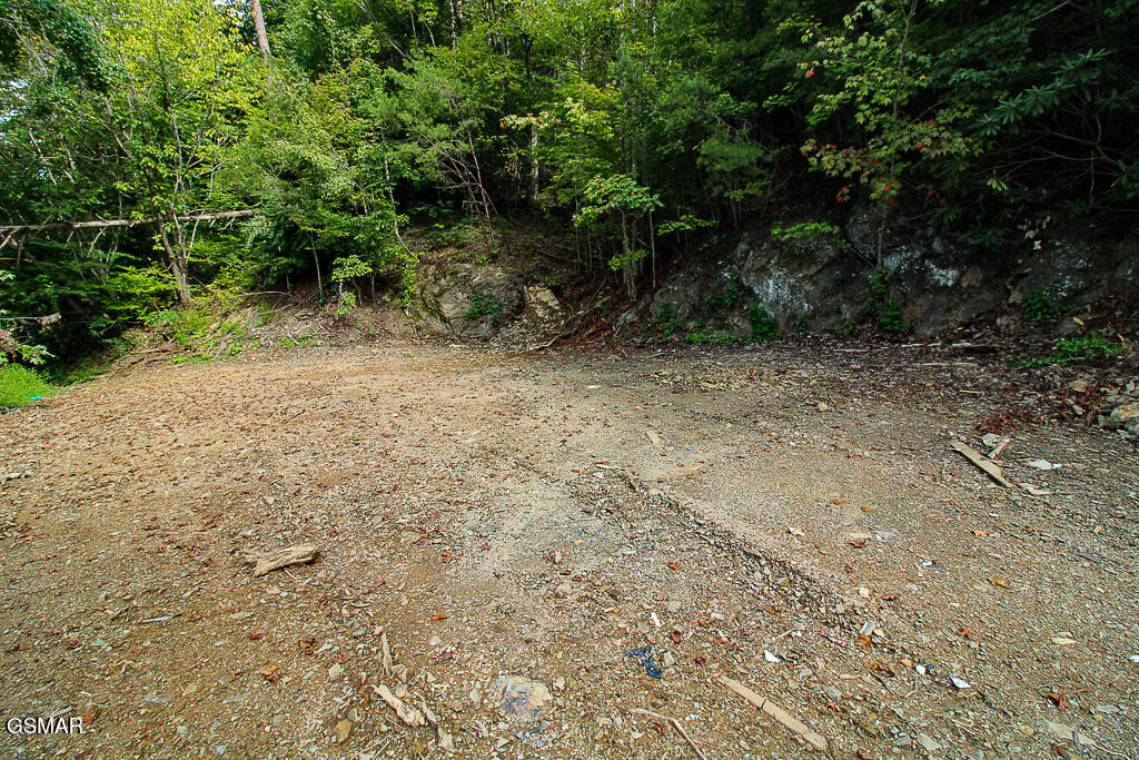 134 Wildwood Way Gatlinburg TN 37738