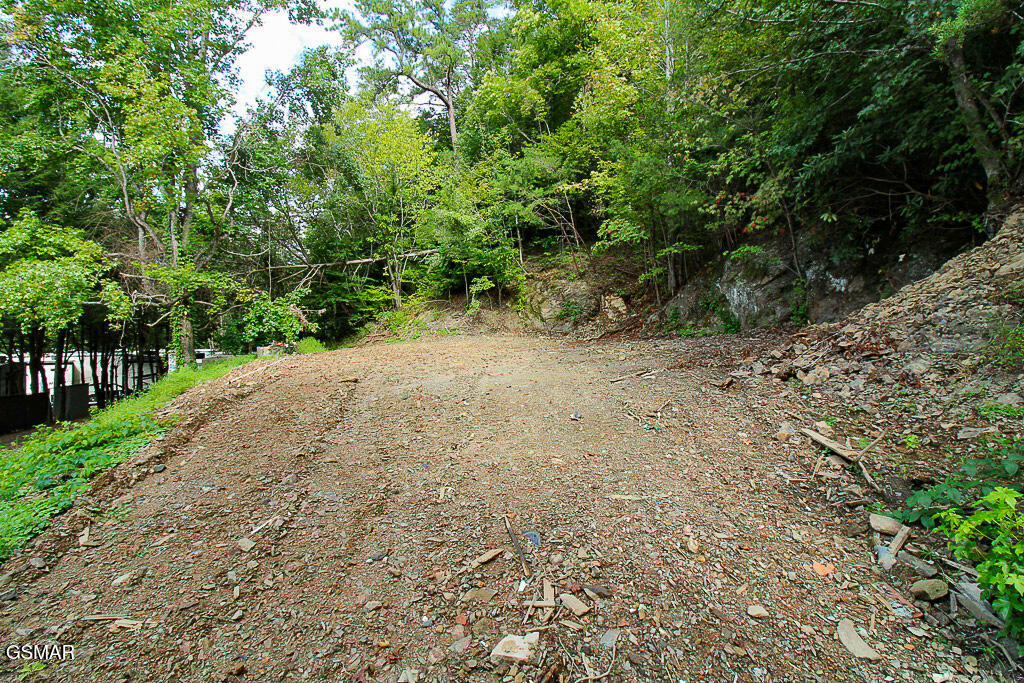 134 Wildwood Way Gatlinburg TN 37738