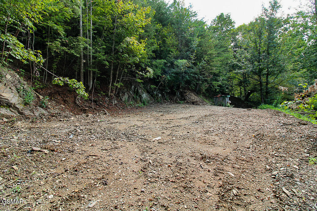 134 Wildwood Way Gatlinburg TN 37738