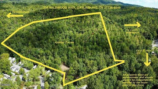 134 Wildwood Way Gatlinburg TN 37738