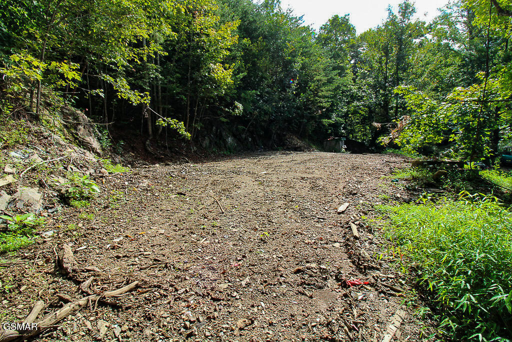 134 Wildwood Way Gatlinburg TN 37738