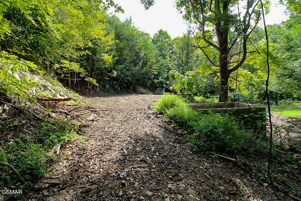134 Wildwood Way Gatlinburg TN 37738