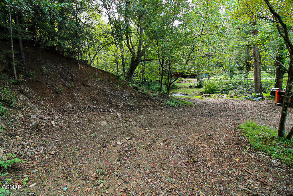 134 Wildwood Way Gatlinburg TN 37738