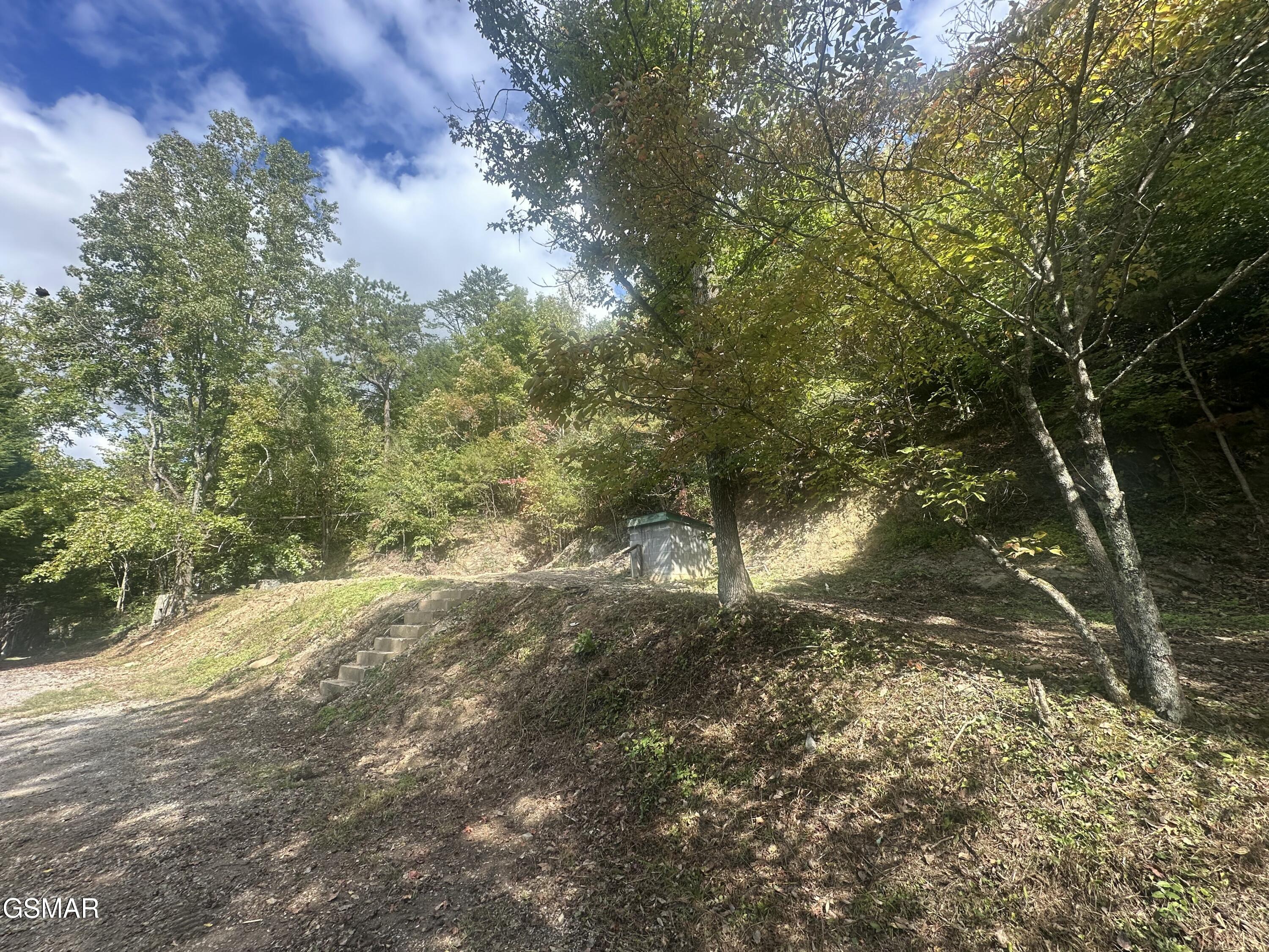 134 Wildwood Way Gatlinburg TN 37738