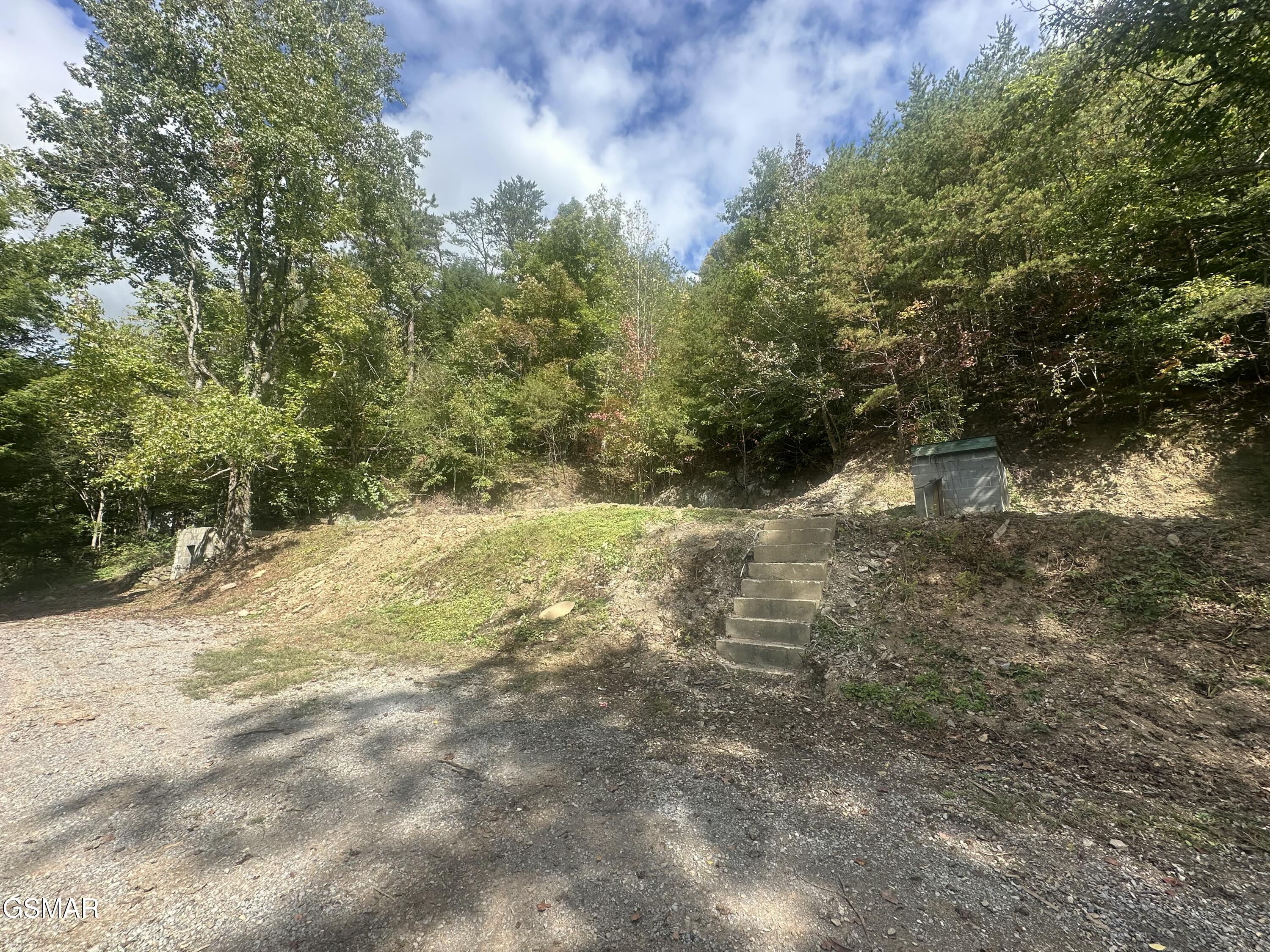 134 Wildwood Way Gatlinburg TN 37738