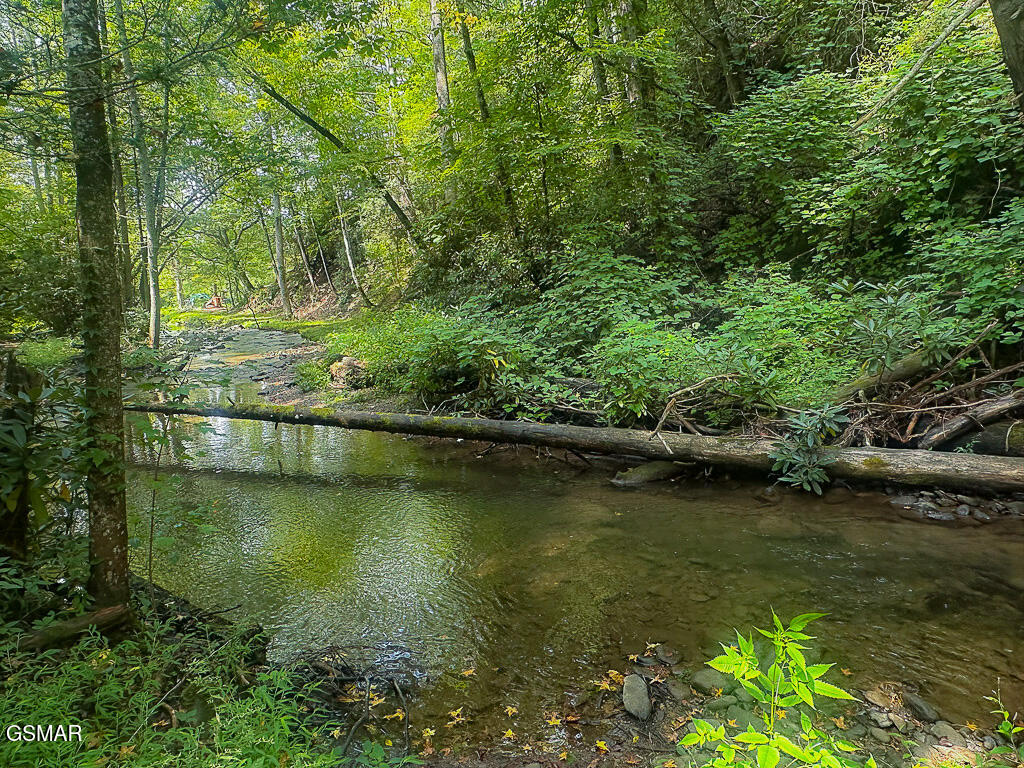 134 Wildwood Way Gatlinburg TN 37738