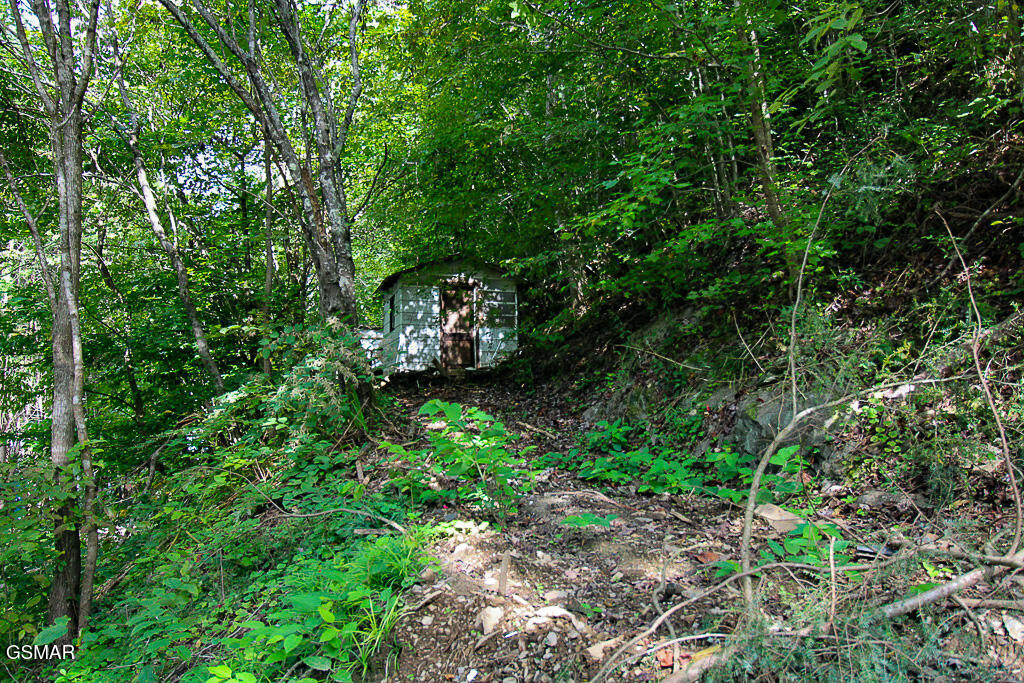 134 Wildwood Way Gatlinburg TN 37738