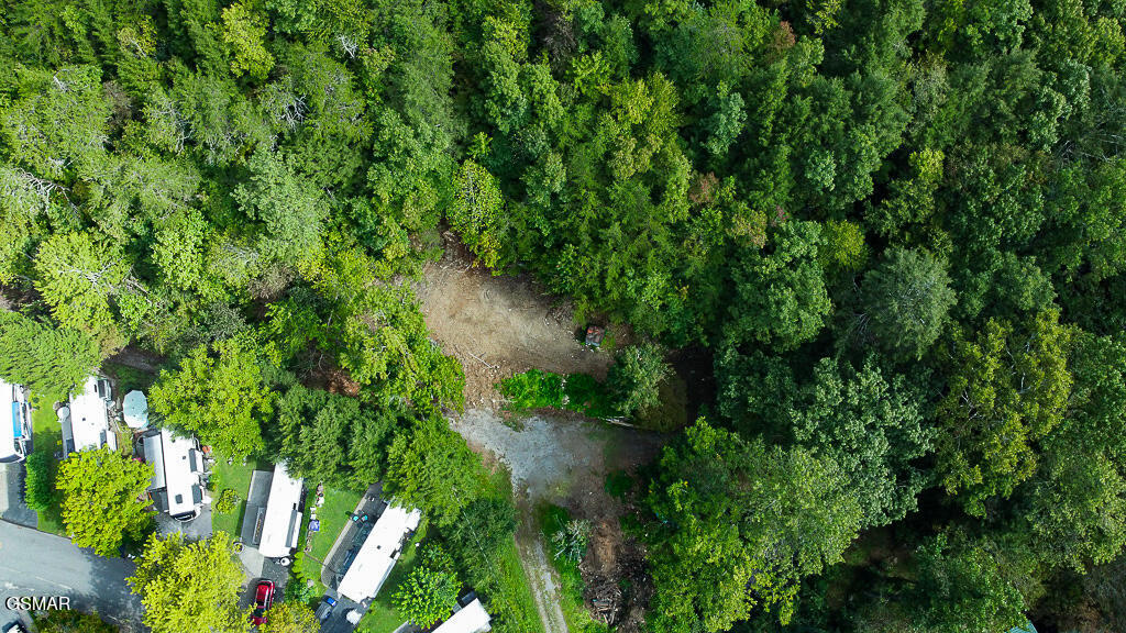 134 Wildwood Way Gatlinburg TN 37738