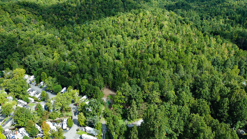 134 Wildwood Way Gatlinburg TN 37738