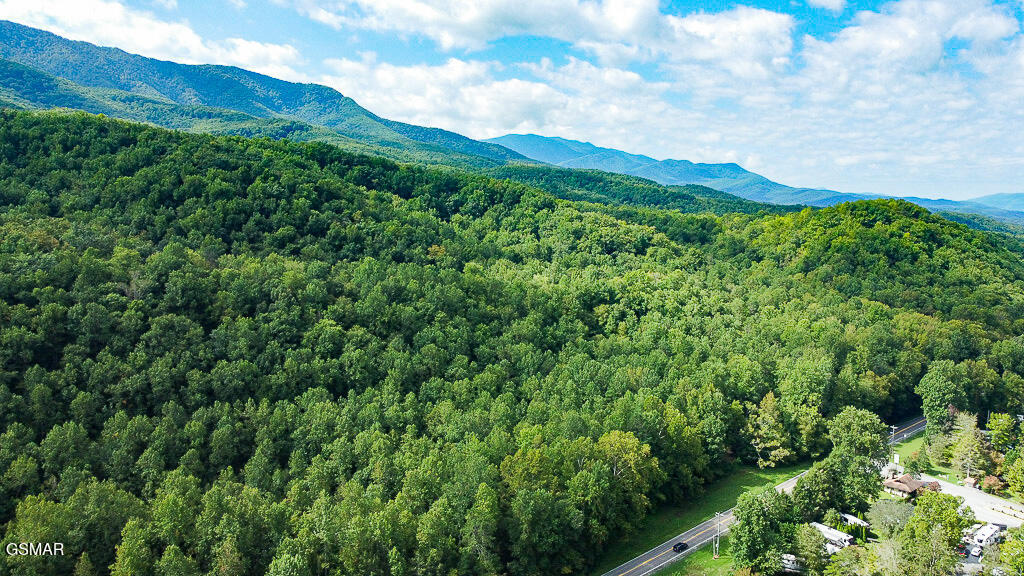 134 Wildwood Way Gatlinburg TN 37738