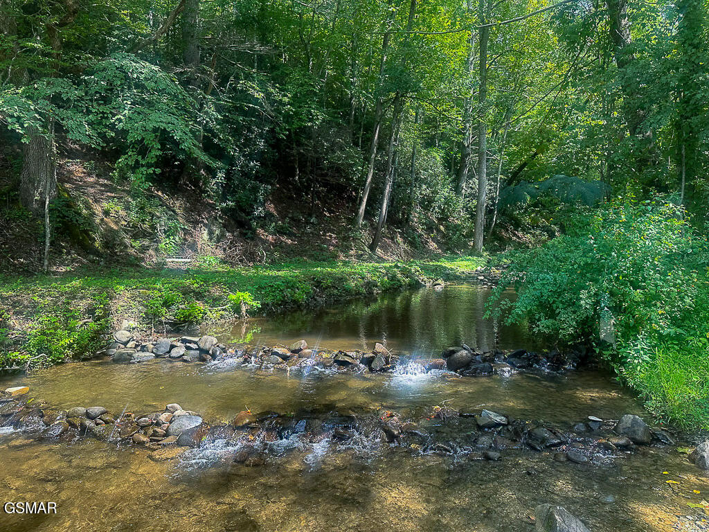 134 Wildwood Way Gatlinburg TN 37738