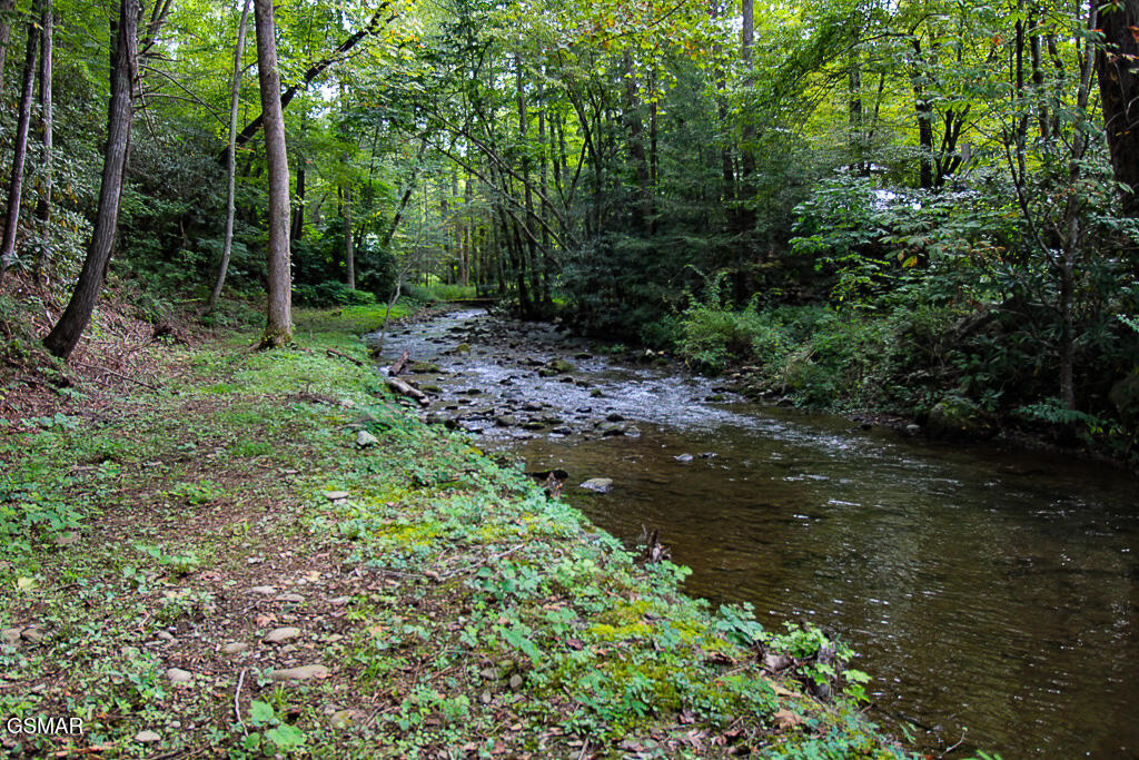 134 Wildwood Way Gatlinburg TN 37738