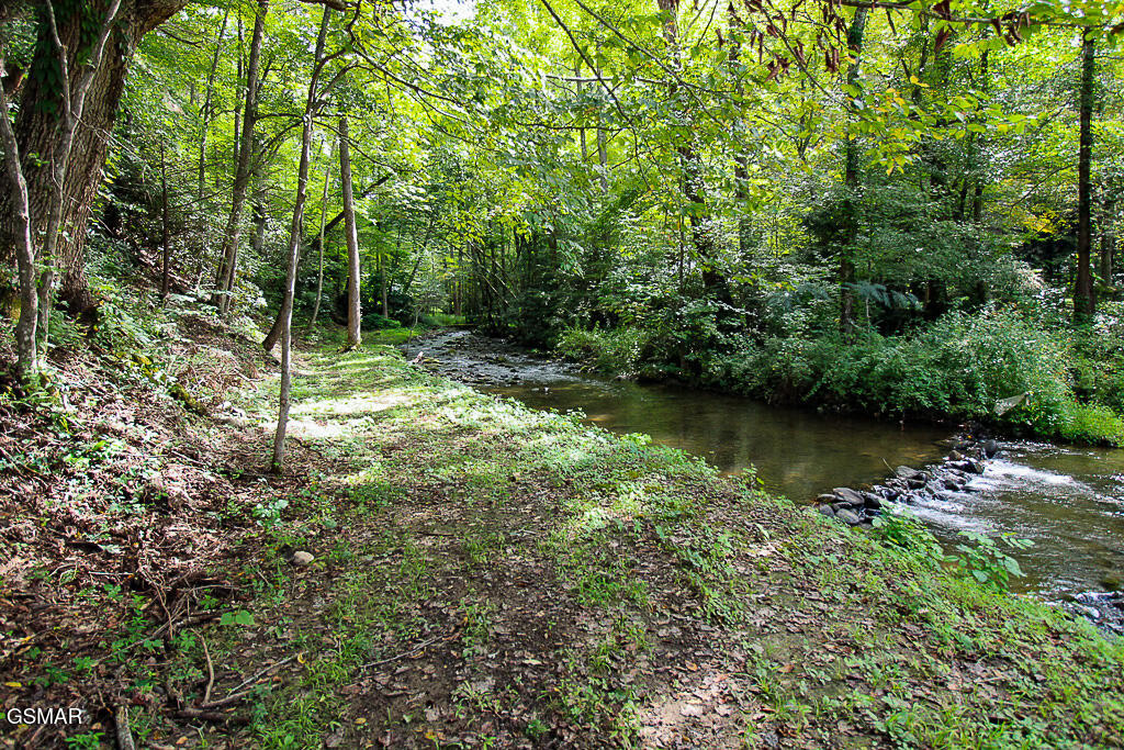 134 Wildwood Way Gatlinburg TN 37738