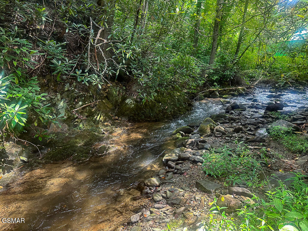 134 Wildwood Way Gatlinburg TN 37738