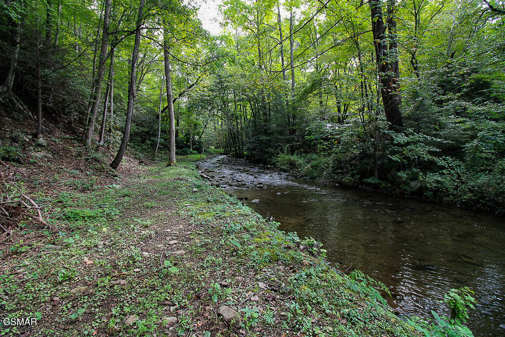 134 Wildwood Way Gatlinburg TN 37738