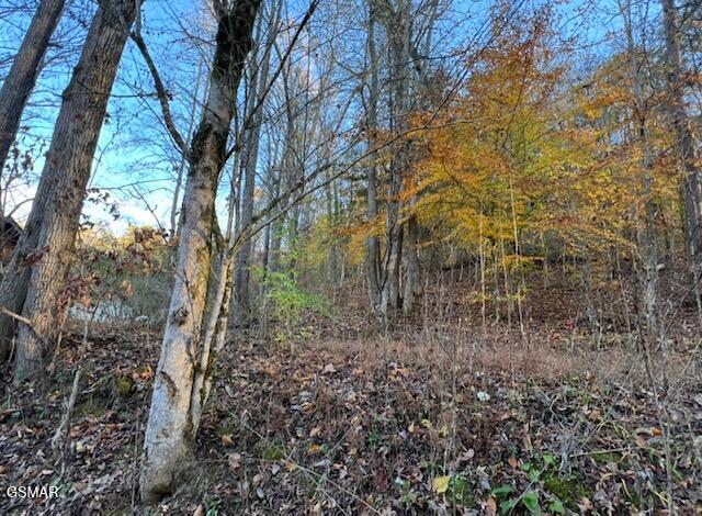 2R2 S Rogers Road Seymour TN 37865