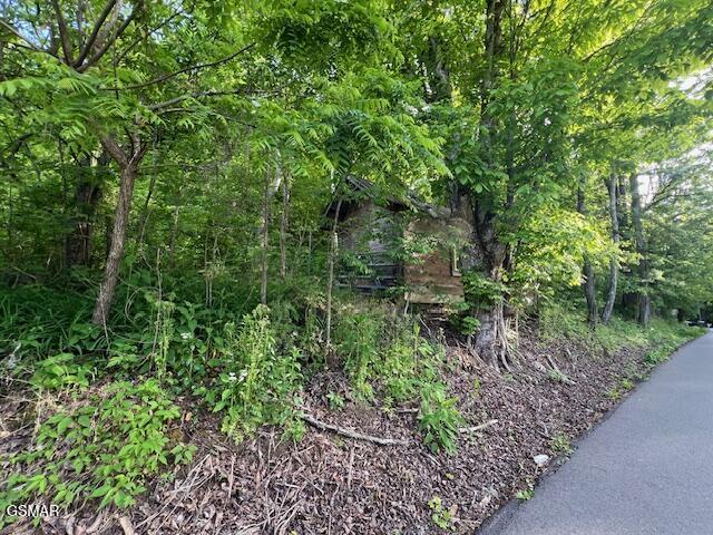 2R2 S Rogers Road Seymour TN 37865