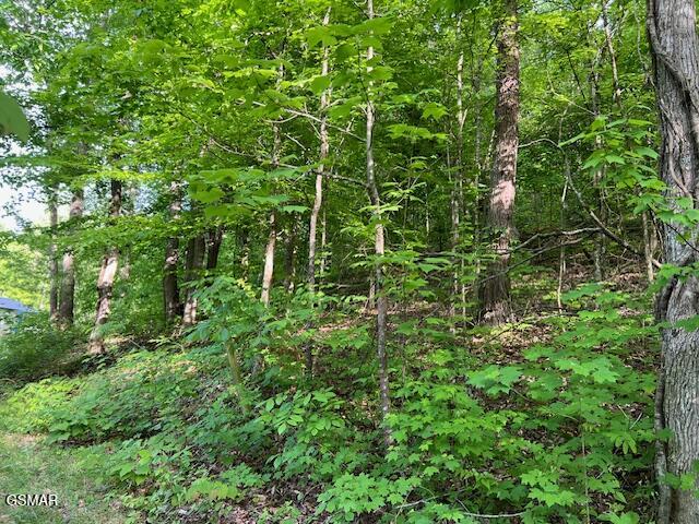 2R2 S Rogers Road Seymour TN 37865