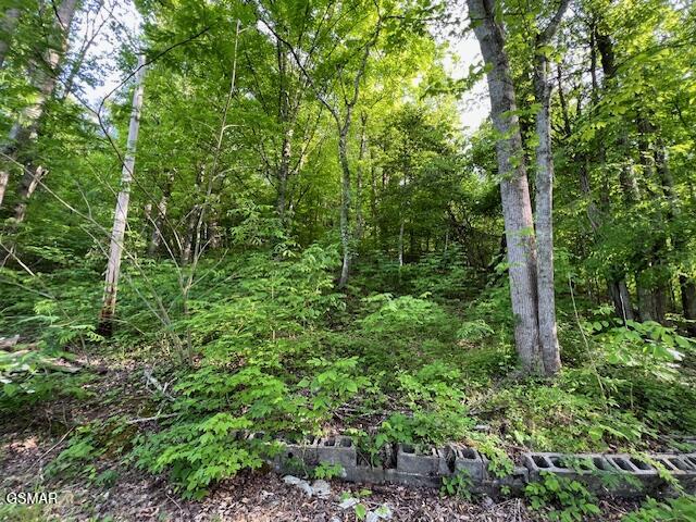 2R2 S Rogers Road Seymour TN 37865