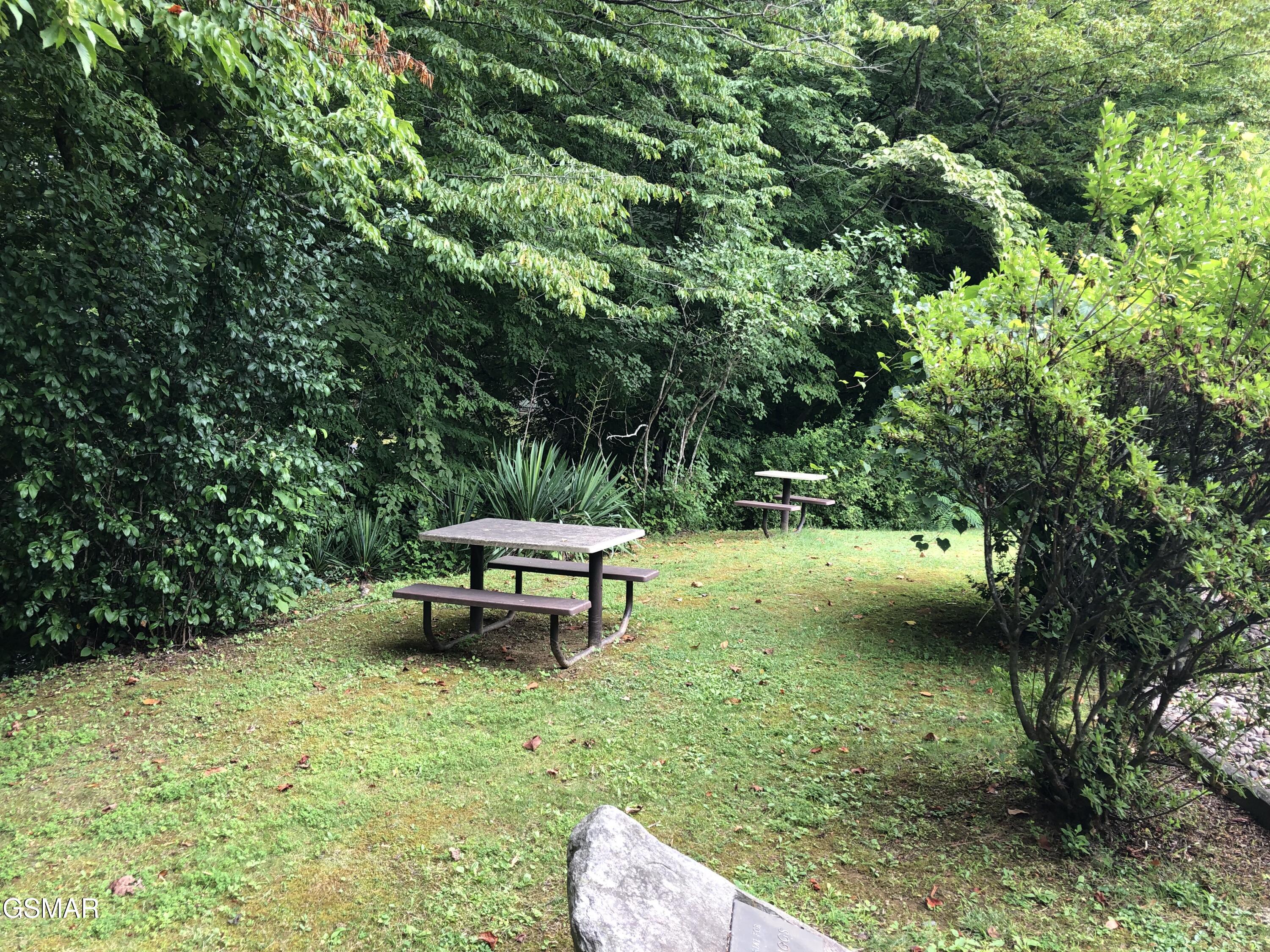 4229 E Parkway #166 Gatlinburg TN 37738