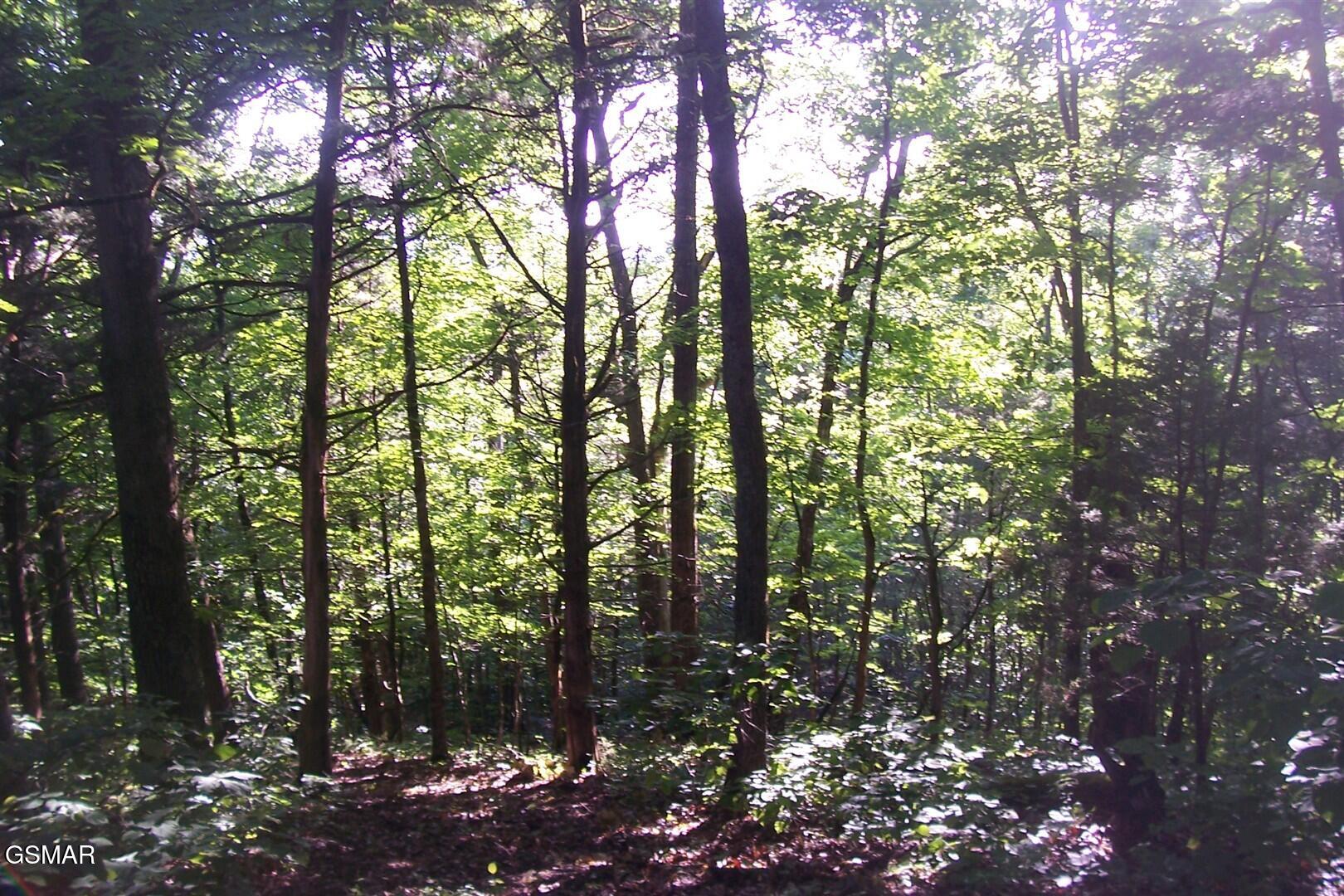 Lot 27 Splendor Way Parrottsville TN 37843