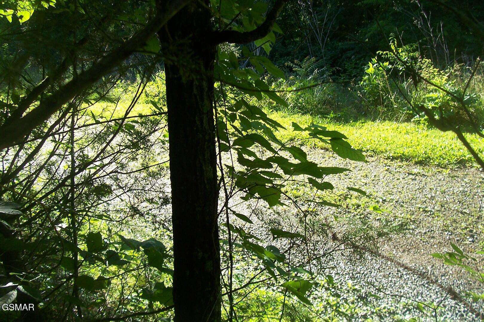 Lot 27 Splendor Way Parrottsville TN 37843
