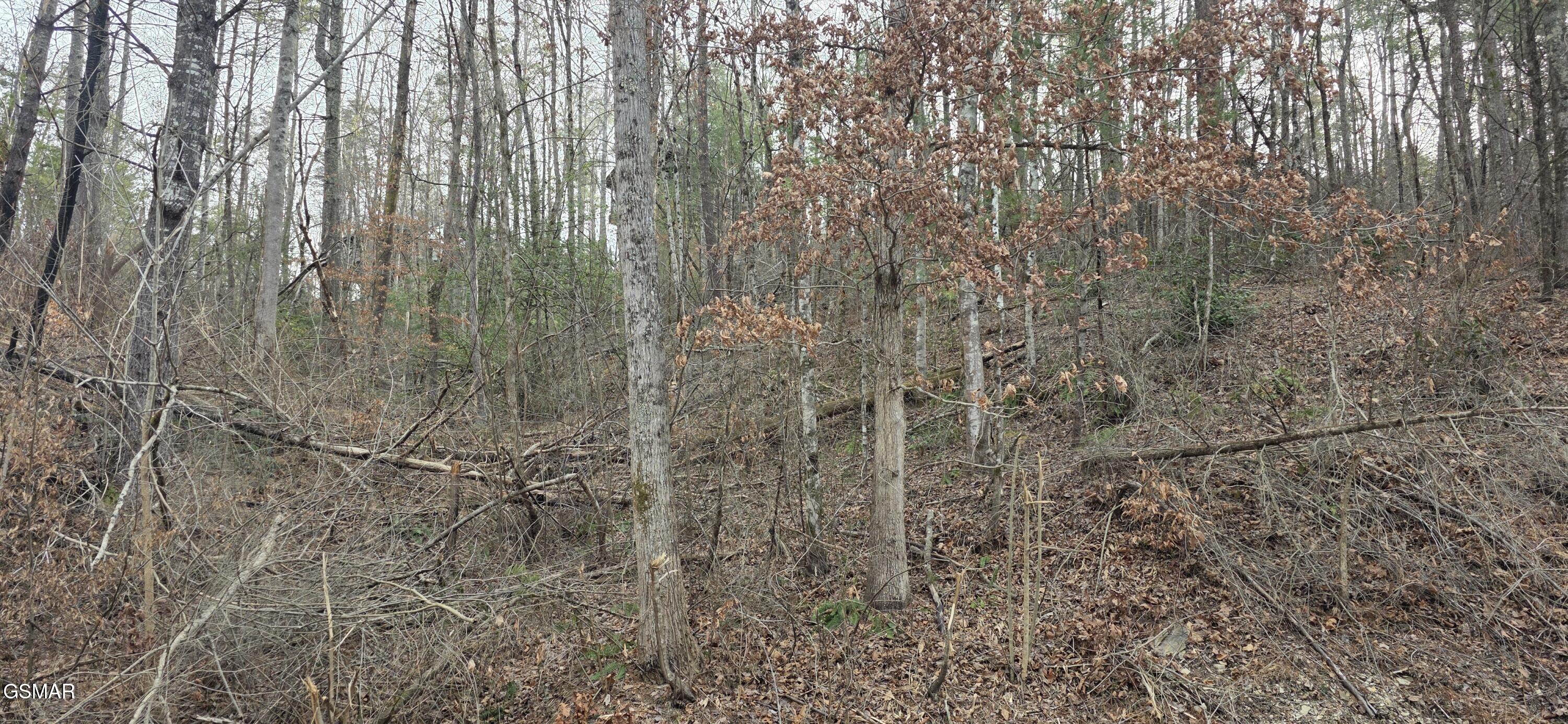 3276 Emerald Springs Loop Sevierville TN 37862