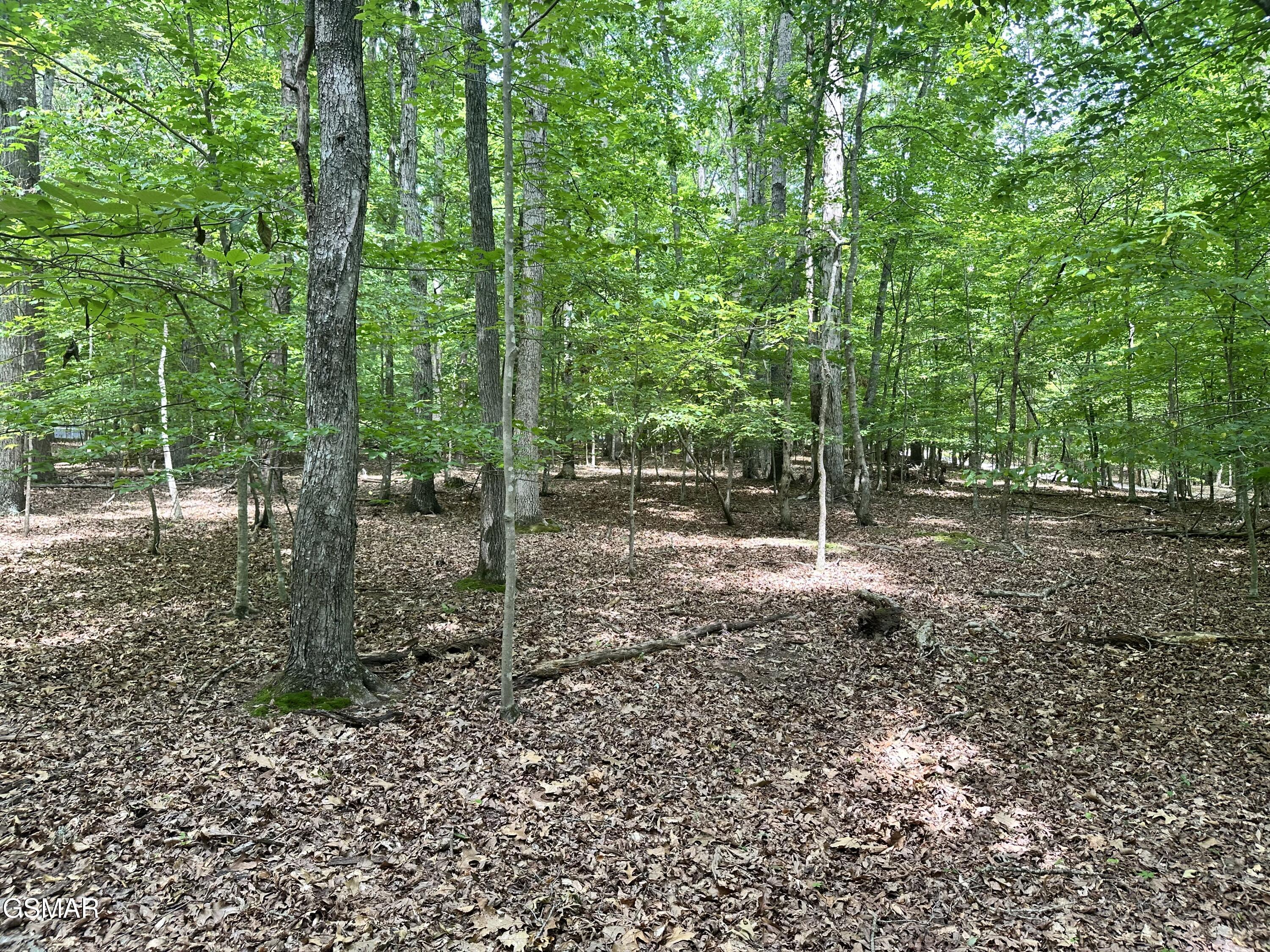 Tract 8 Woods Ridge Road Dandridge TN 37725