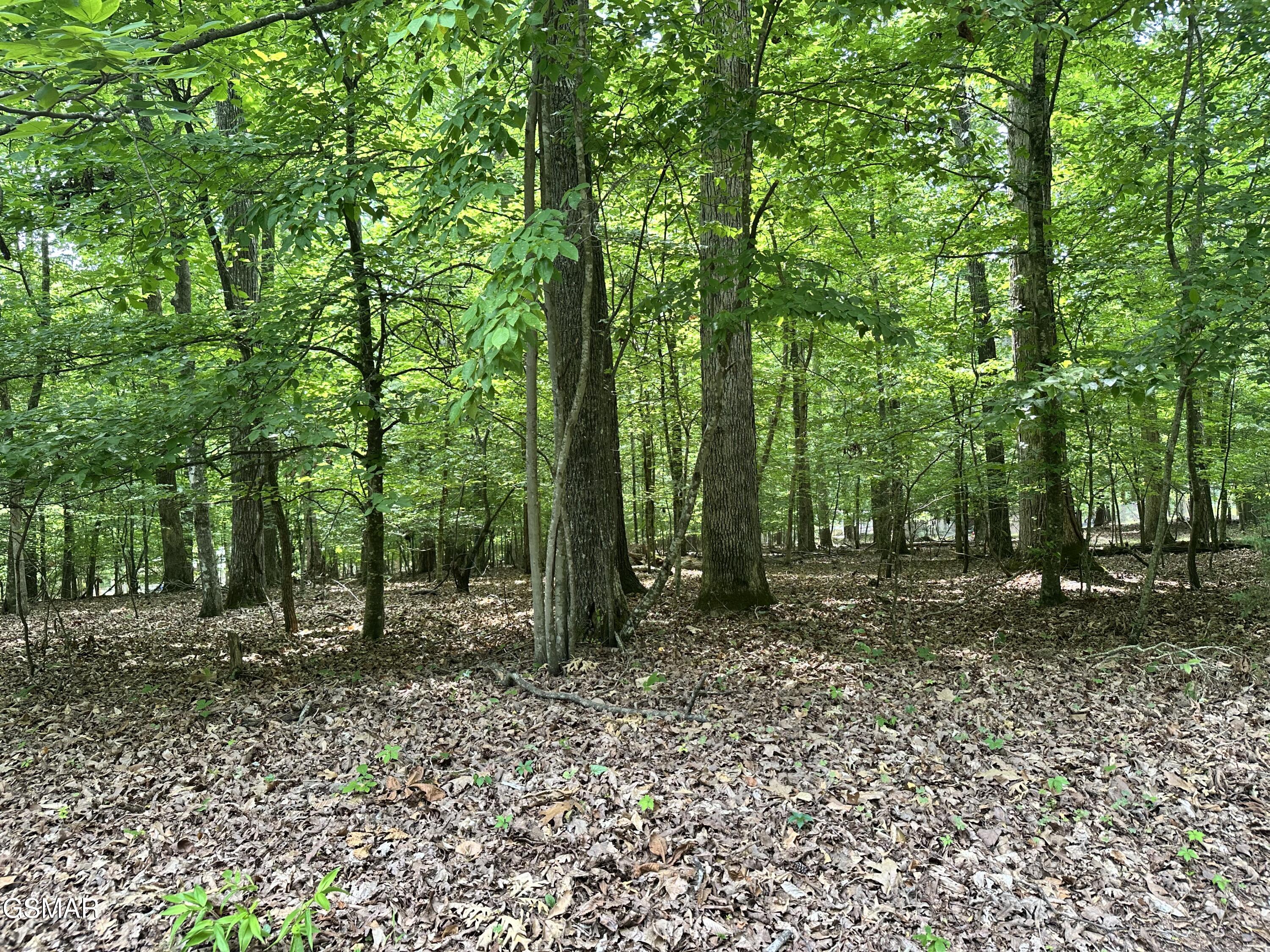 Tract 8 Woods Ridge Road Dandridge TN 37725