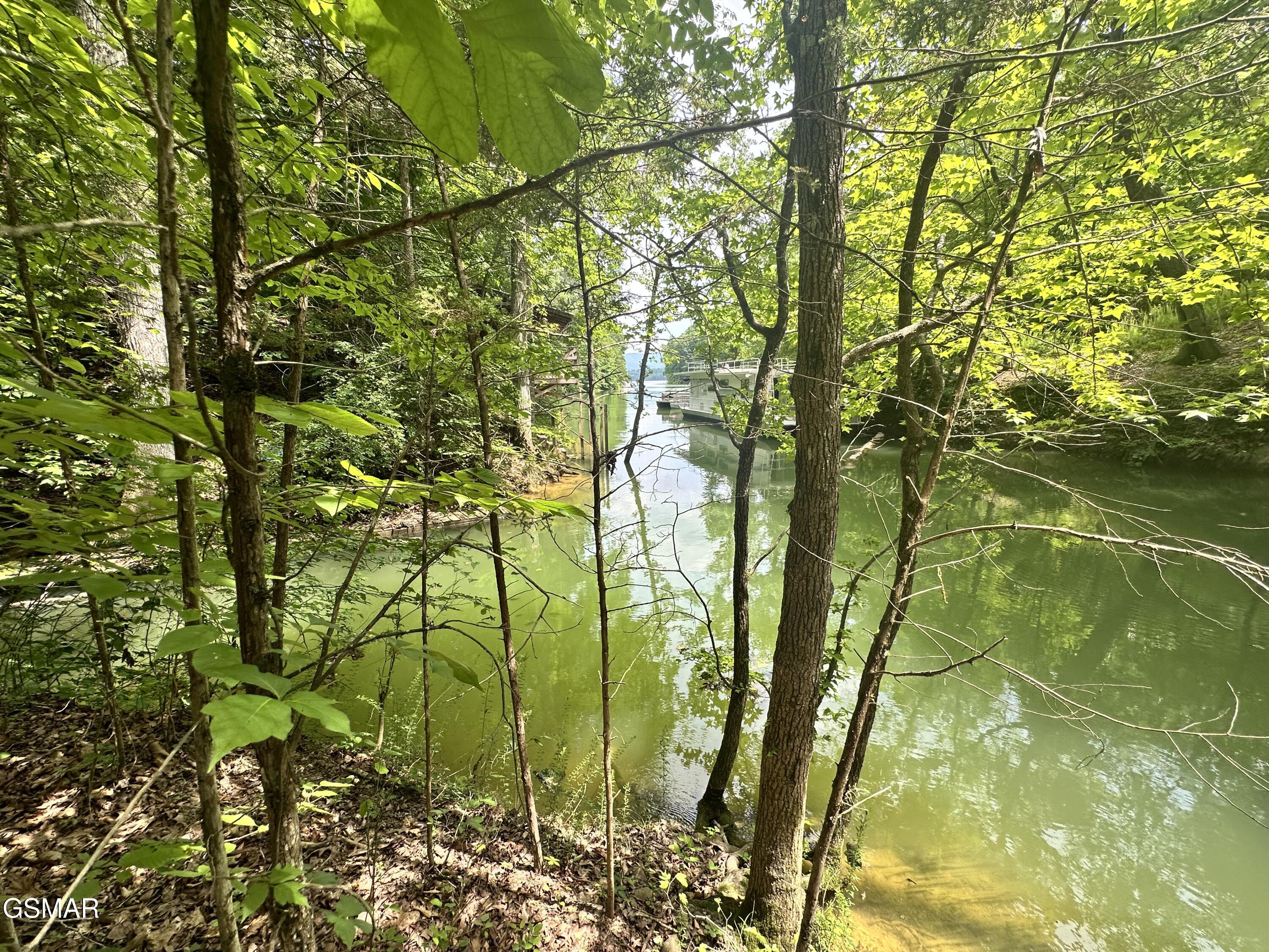 Tract 8 Woods Ridge Road Dandridge TN 37725
