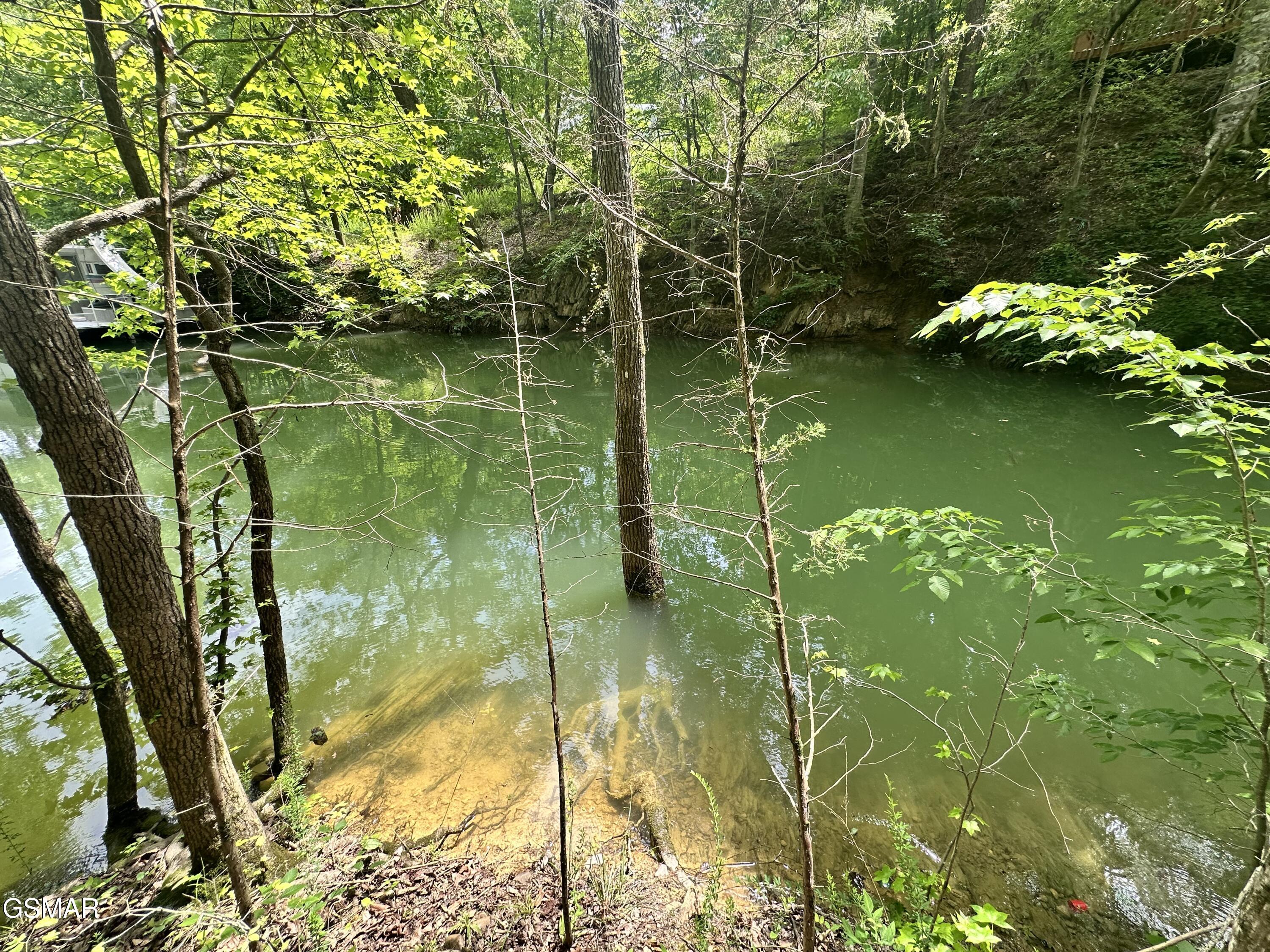 Tract 8 Woods Ridge Road Dandridge TN 37725