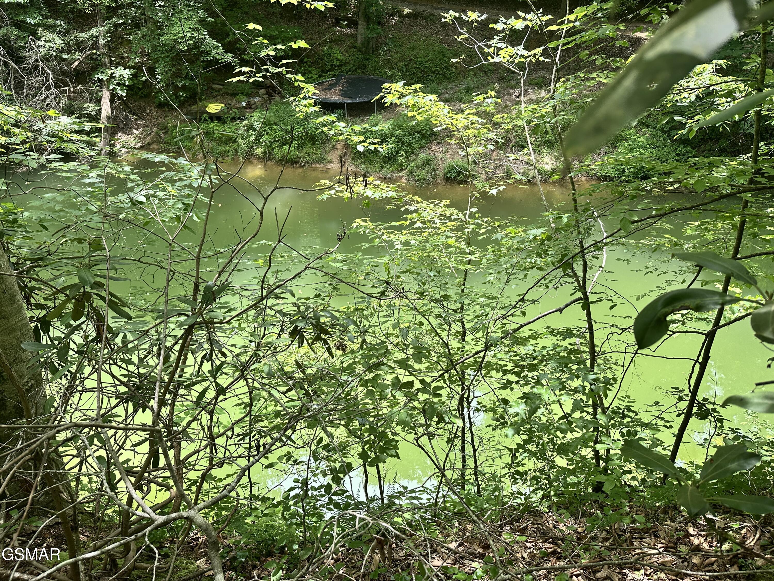 Tract 8 Woods Ridge Road Dandridge TN 37725