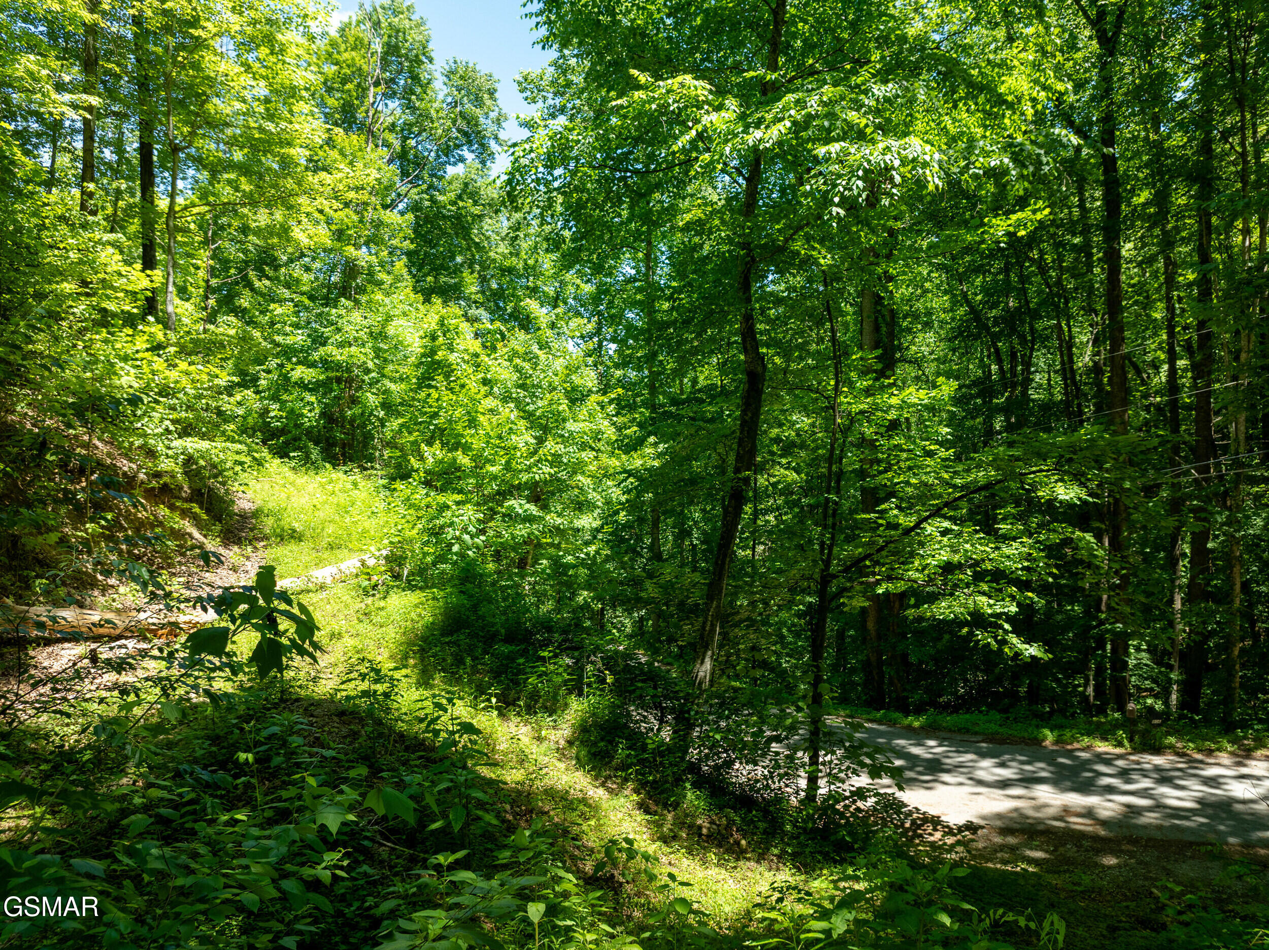 811 San Remo Drive Gatlinburg TN 37738