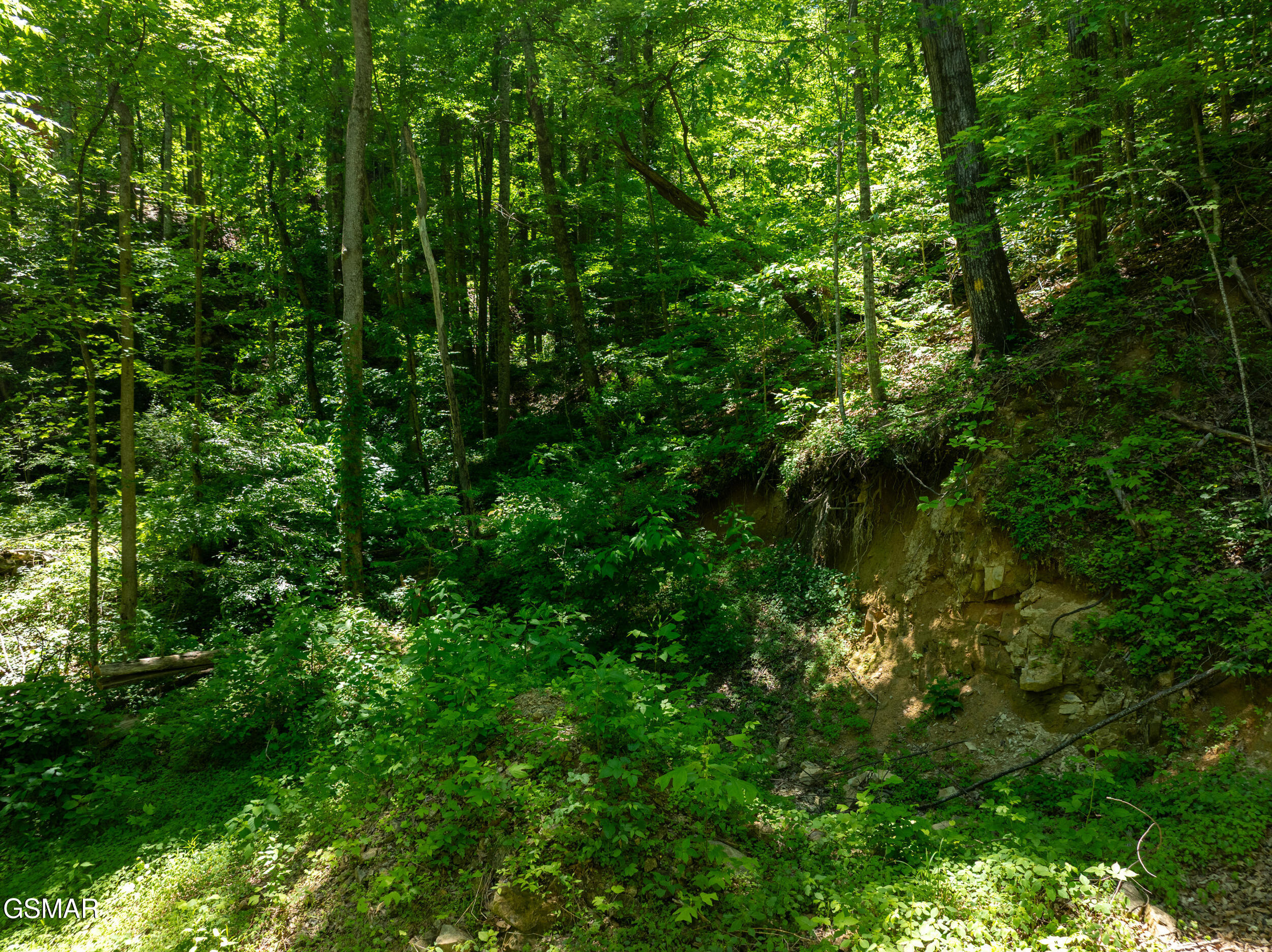 811 San Remo Drive Gatlinburg TN 37738