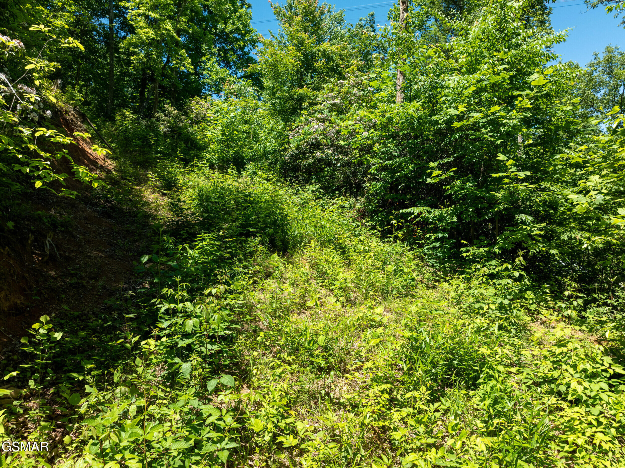 811 San Remo Drive Gatlinburg TN 37738