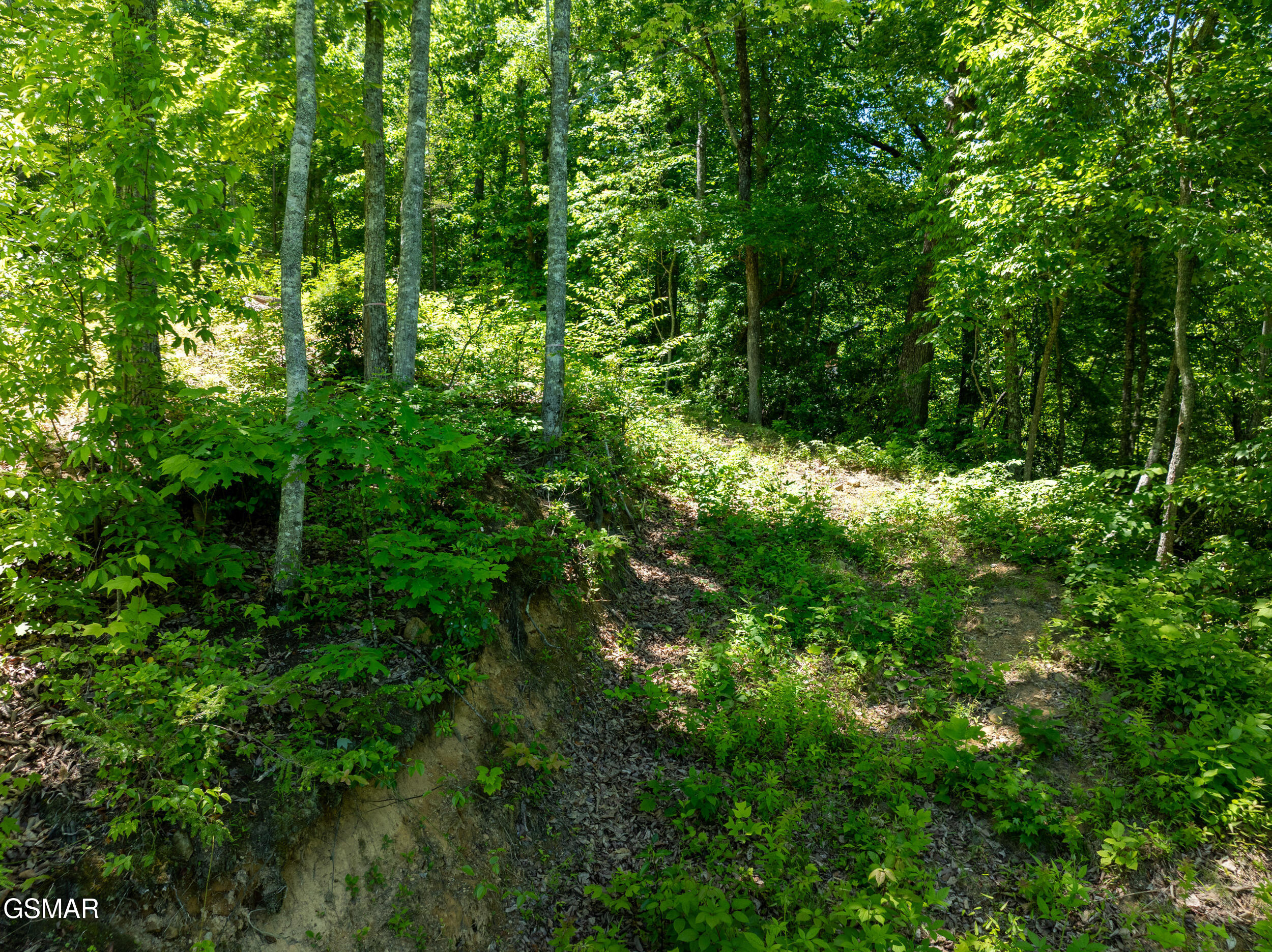811 San Remo Drive Gatlinburg TN 37738